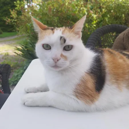 Chez Emma * Leaupartie