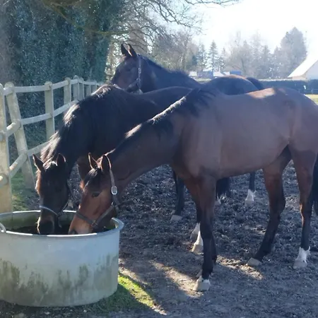 度假居 Chez Emma Leaupartie