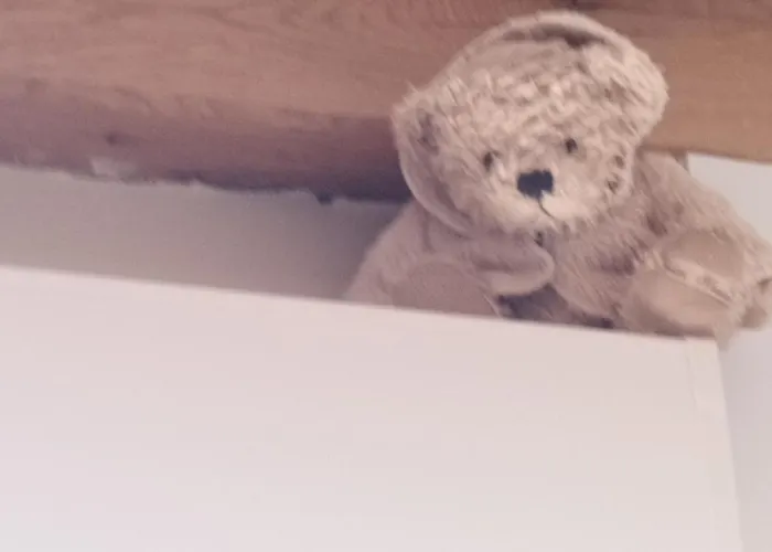 度假居 Chez Emma Leaupartie