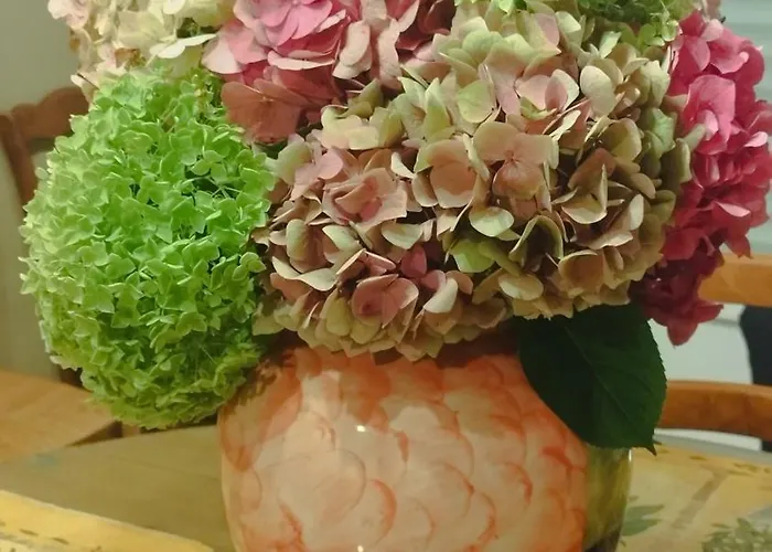 Chez Emma 度假居 *