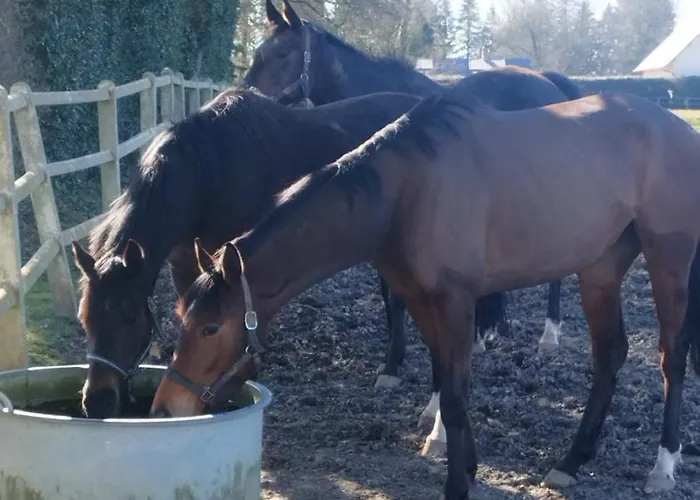 度假居 Chez Emma Leaupartie