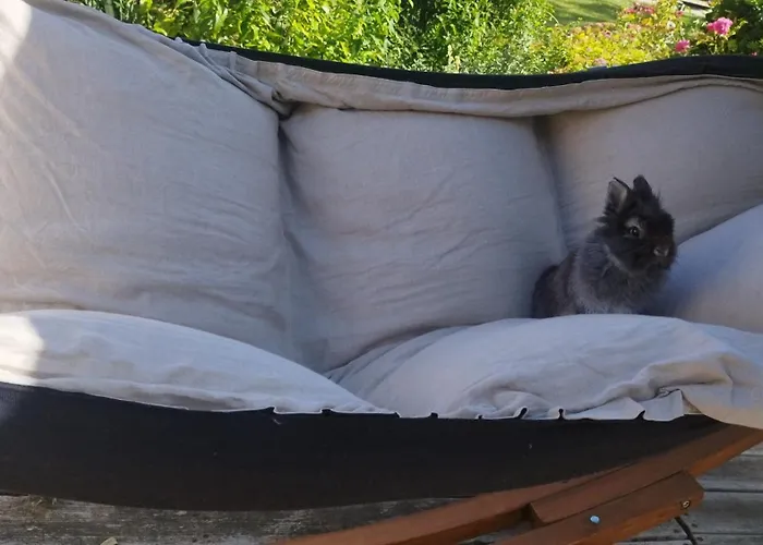 度假居 Chez Emma *